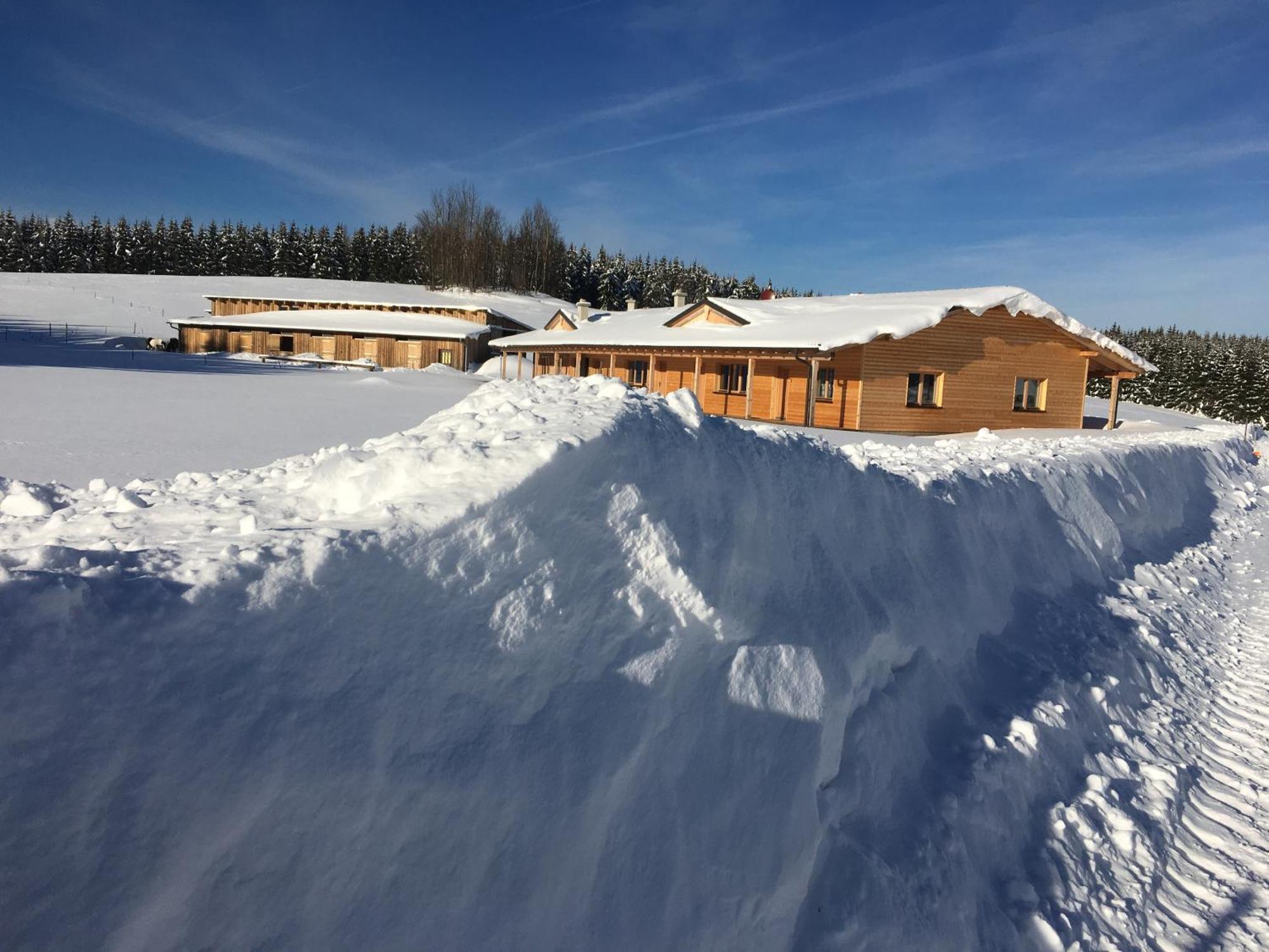 Big Sky Ranch Bed & Breakfast Liebenau  Exterior photo